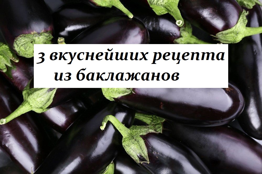 3 смачных рецепта приготовления баклажанов