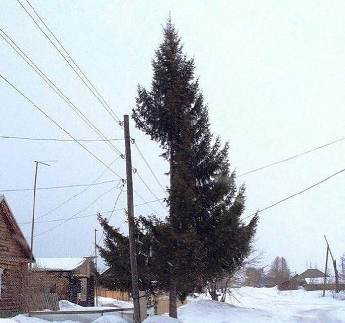 Природа без фотошопа 11