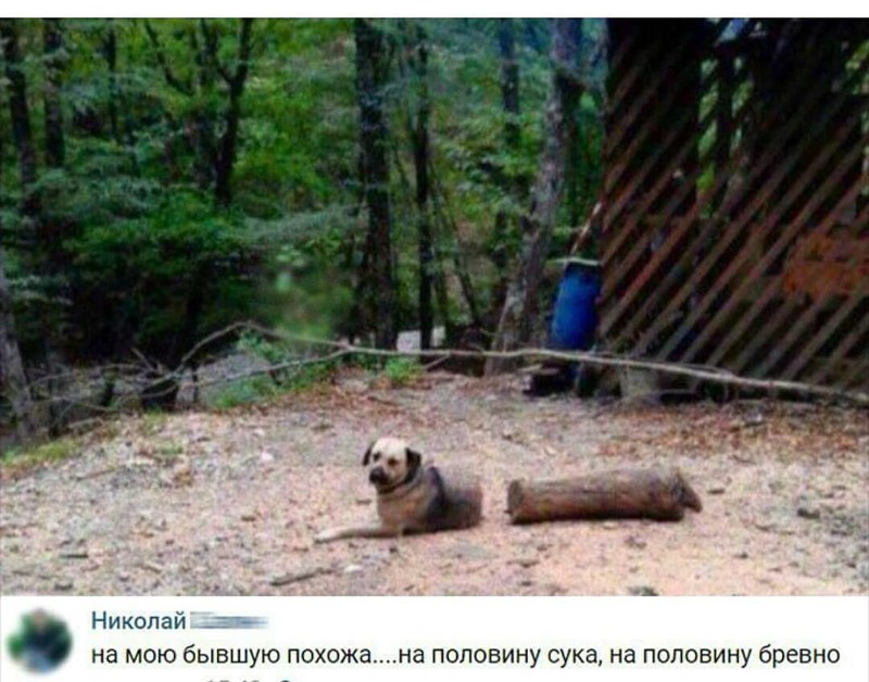 Невероятные особенности жизни после развода Невероятные особенности жизни после развода бывшая, бывший, жена, муж, прикол, развод, свадьба, юмор