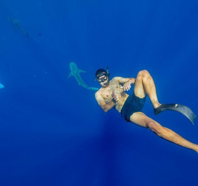 20. «Опять акула фотку испортила!» 20. «Опять акула фотку испортила!» боязнь, в мире, вода, красота, талассофобия, фото