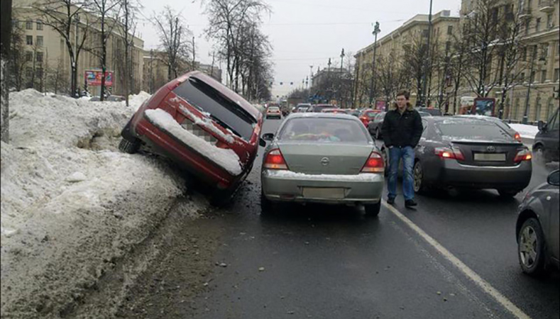 http://www.polese.by/wp-content/uploads/2017/02/posledstvia-zimnego-obgona.jpg