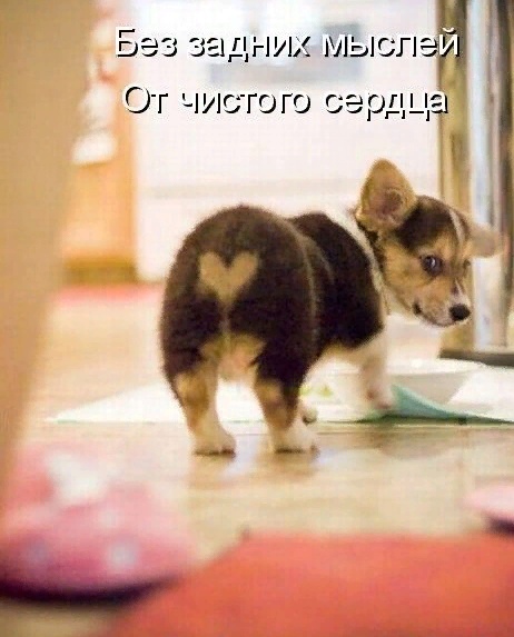 В январских выходных есть только один минус .... В январских выходных есть только один минус ....