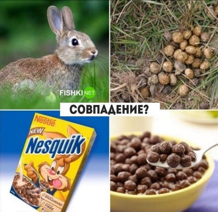 Совпадения? Шо, опять?! Совпадения? Шо, опять?!