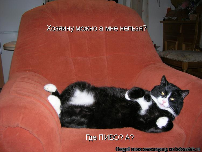 kotomatritsa_o (1) (700x524, 285Kb)