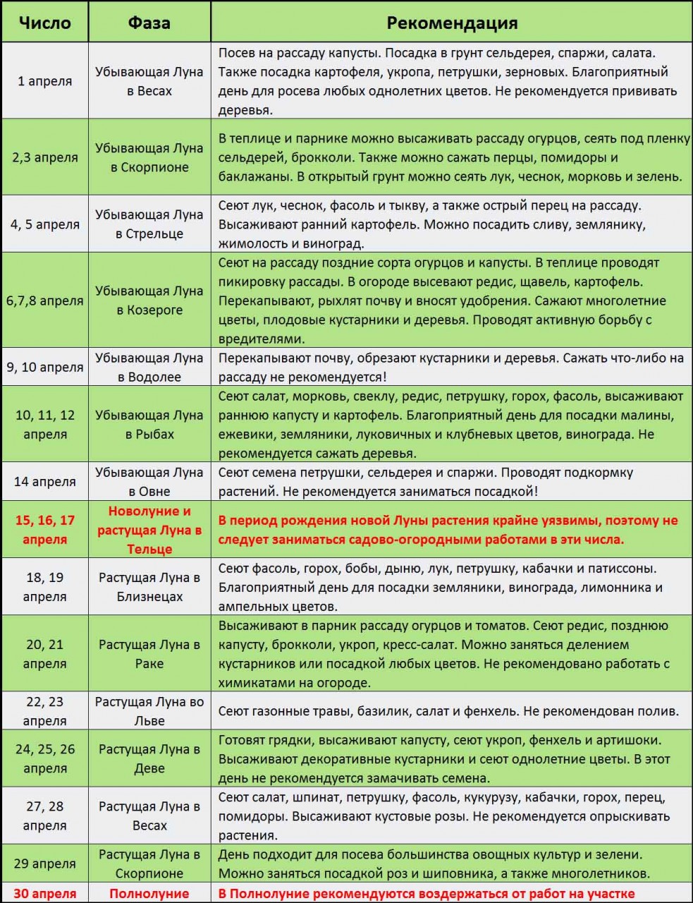 Что сажают на растущей луне 83