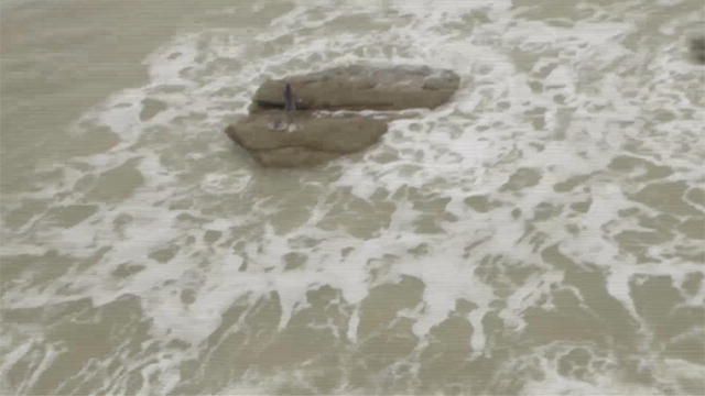 Настоящие русалки, найденные на пляжах Гавайев и Египта. Настоящие русалки, найденные на пляжах Гавайев и Египта.