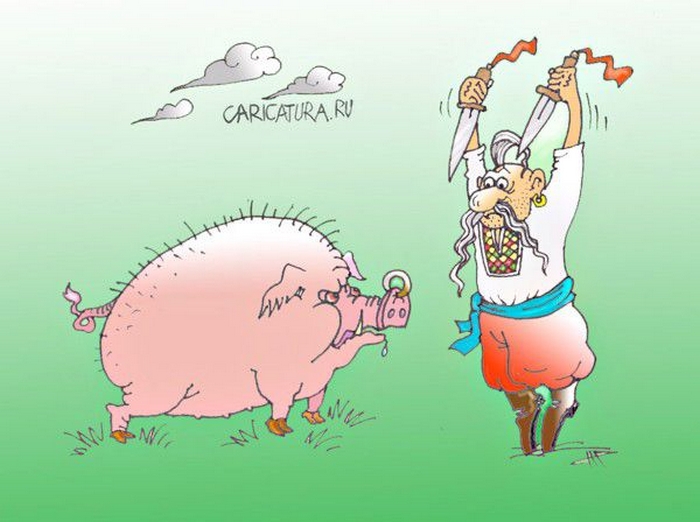  Западные карикатуры на евромайдан