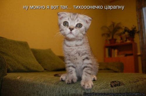 Милая котоматрица