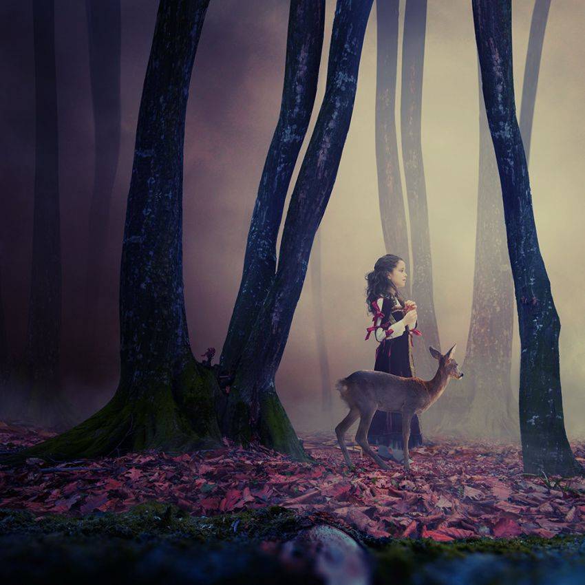 фотоманипуляции, креатив