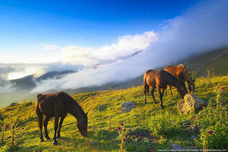 Caucasus mountains