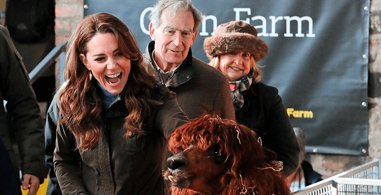 Герцогиня Кэтрин удивила поклонников фотографиями с фермы