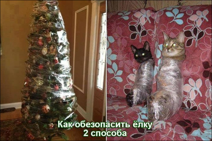 Коты наряжают елку