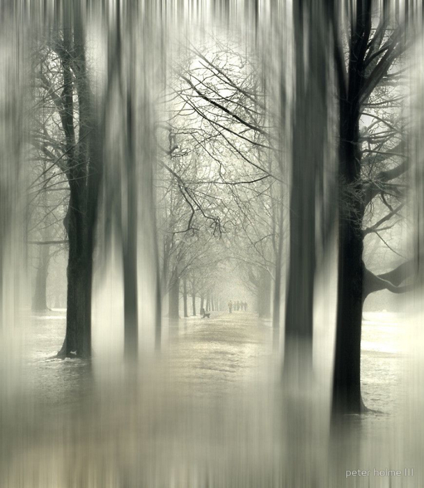 Peter Holme III Tutt'Art@ (13) (609x700, 298Kb)