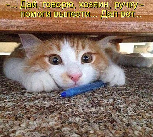 c3a201e64ea6f227df4d6c6dc42_prev