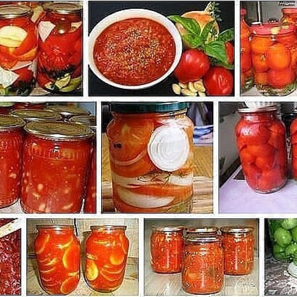 15 супер-рецептов из помидоров