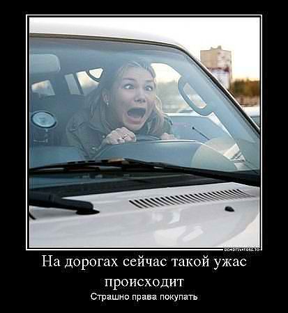 womens and cars-37