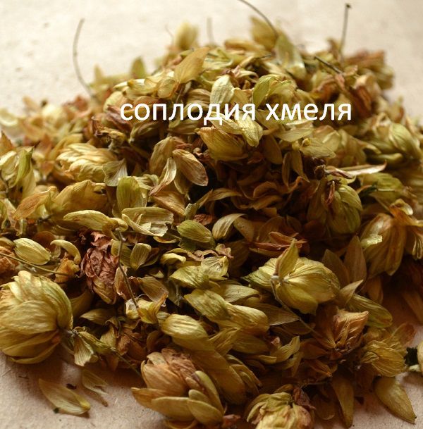 ржаной шампунь ржаной шампунь