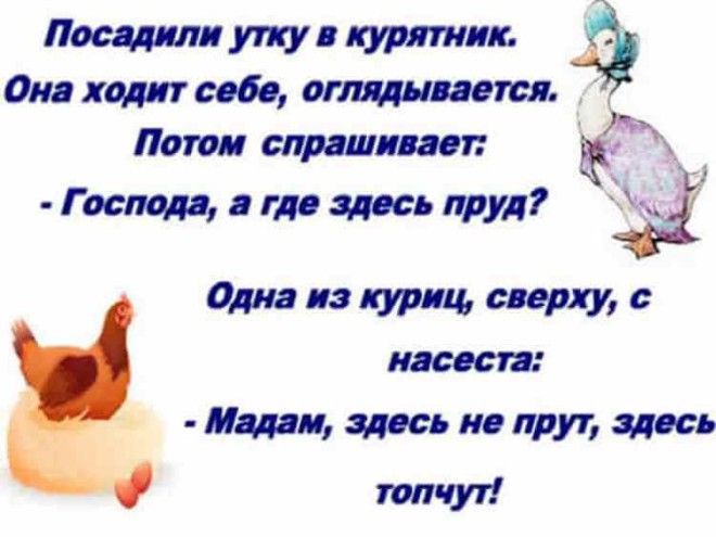 12 НЕВЕРОЯТНО СМЕШНЫХ И ОЧЕНЬ ЖИЗНЕННЫХ АНЕКДОТОВ С ПРОСТОРОВ СЕТИ! 12 НЕВЕРОЯТНО СМЕШНЫХ И ОЧЕНЬ ЖИЗНЕННЫХ АНЕКДОТОВ С ПРОСТОРОВ СЕТИ!
