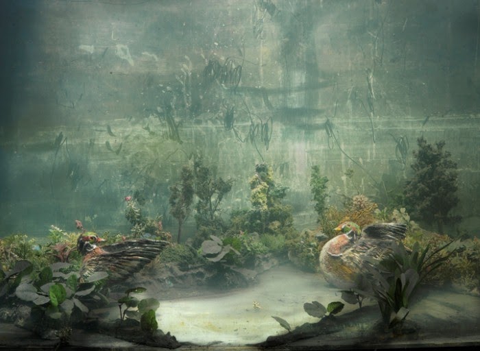 Kim Keever Kim Keever