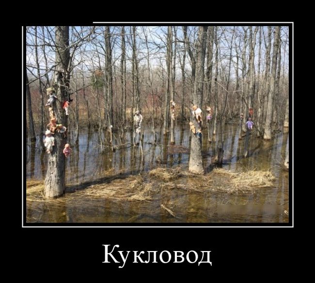 Свежие демотиваторы на утро (11 фото) Свежие демотиваторы на утро (11 фото)