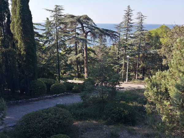 В парках Крыма довольно уютно.
