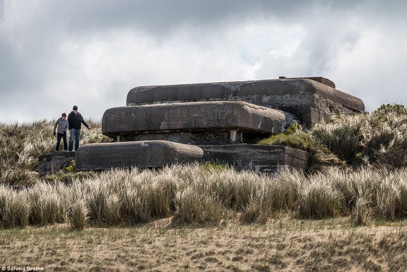 За последние несколько лет в рамках проекта организации Scheveningen Atlantic Wall были найдены пять сотен нетронутых бункеров бункер, нацизм, нидерланды