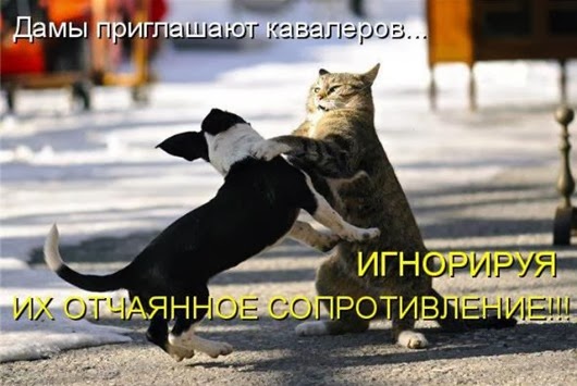1873d6eddcd872a3bdbe0839b8c_prev