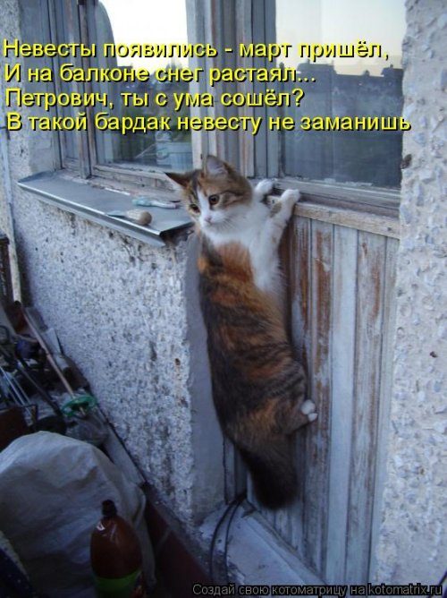 Уморительные котоматрицы для отличного настроения Уморительные котоматрицы для отличного настроения