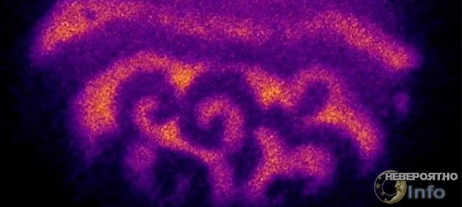Таинство зачатия: свет и гравитационные вихри в яйцеклетке