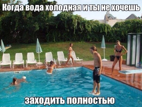 Анекдоты для настроения