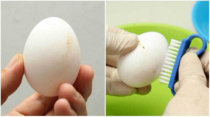5 продуктов, которые мыть опасно и 5, которые мыть обязательно! 5 продуктов, которые мыть опасно и 5, которые мыть обязательно!