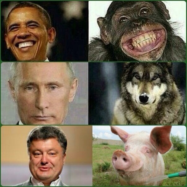 Украинский креатив