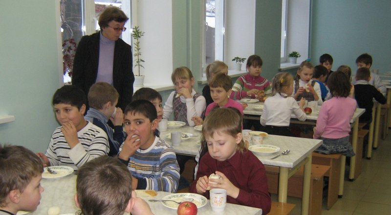 Основы здорового питания