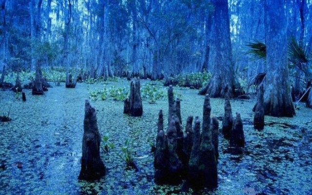 10 самых жутких мест на Земле (фото) 10 самых жутких мест на Земле (фото)