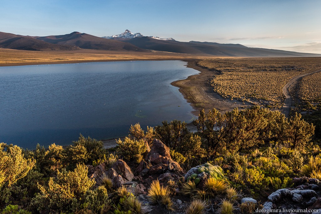 Sajama29 Национальный парк Сахама