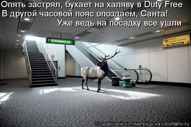 kotomatritsa_- (640x426, 153Kb)