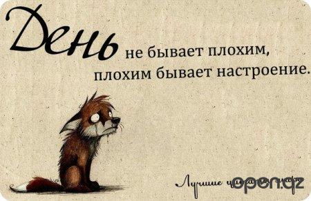 "  " (46   )