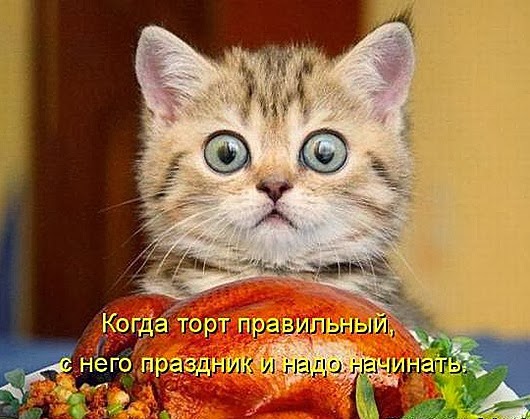fcfe68695126e3fd5c59d9e0554_prev