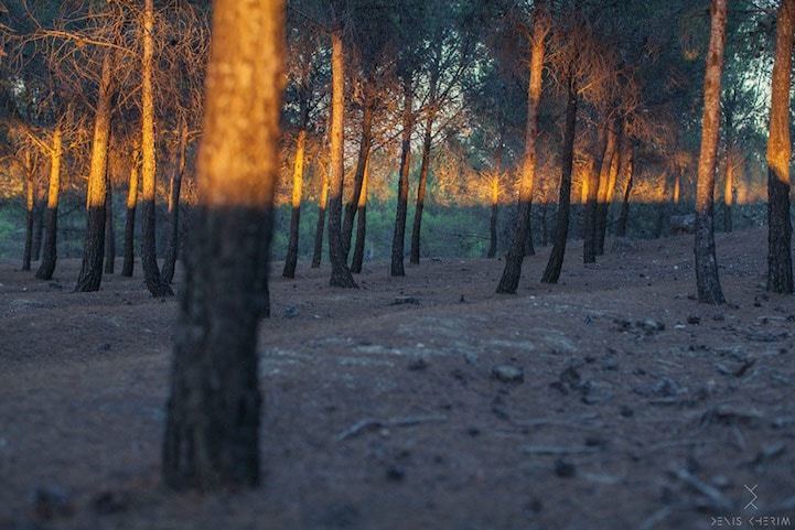 Блог - Проект совпадений: фотограф делает невероятные фото, на которых все вдруг сошлось Проект совпадений: фотограф делает невероятные фото, на которых все вдруг сошлось