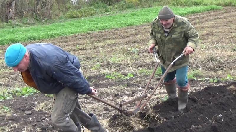 Гладко было на бумаге. Как правительству сократить число бедных в стране