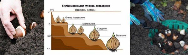 Фото для наглядности взято с интернета