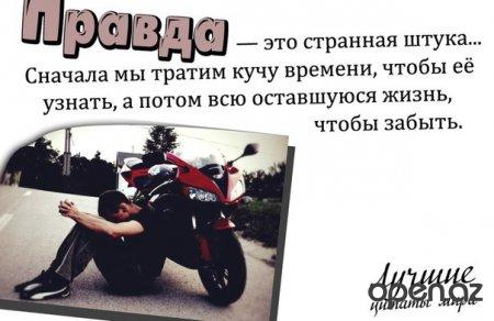 "  " (46   )