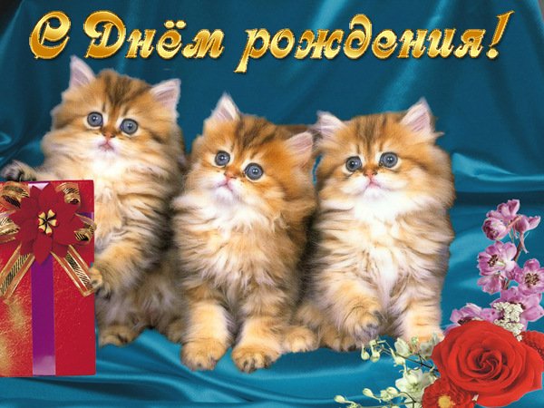 Открытки с днем рождения с котятами Открытки с днем рождения с котятами