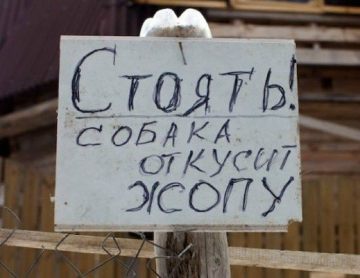 Откровенно и убедительно. Бесхитростные надписи, которые будут помнить еще долго