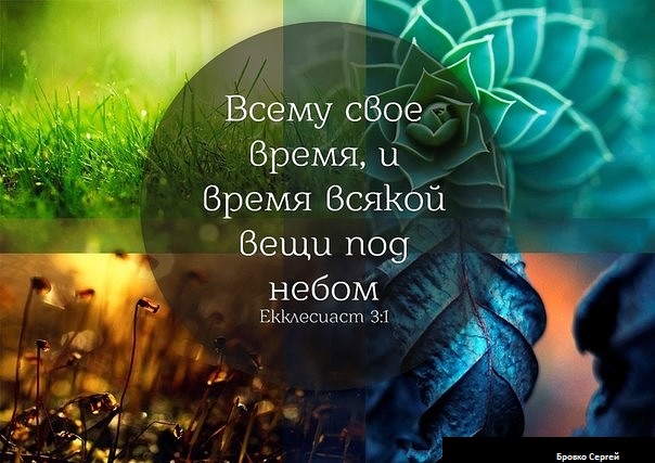 Всему свое время цитаты в картинках Всему свое время цитаты в картинках