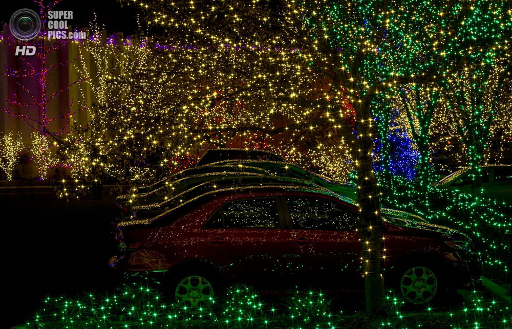 Рождественская сказка