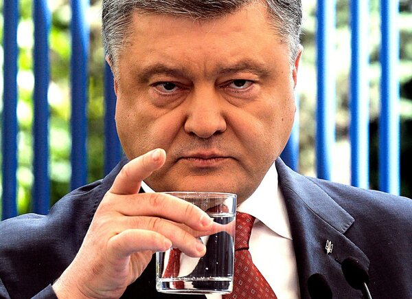 sharknews.ru