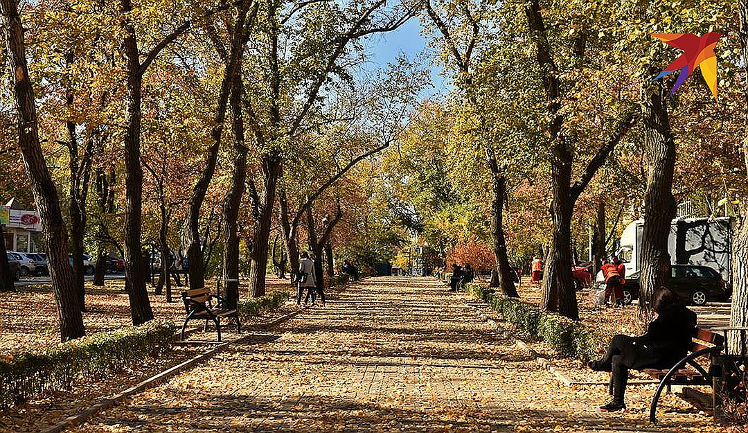 Осень в донецком парке. ФОТО Евгении КАРПАЧЕВОЙ
