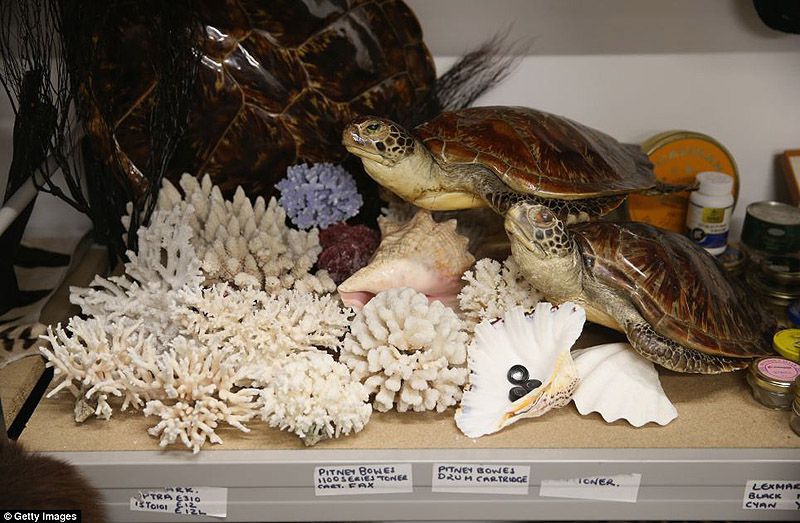 аэропорт, контрабанда, конфискация, Лондон, таможня