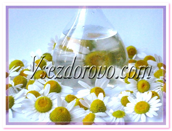 Гидролат ромашки фото